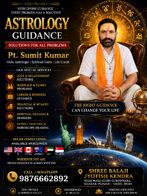vedic astrologer